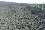 PICTURES/Dee Wright Observatory - McKenzie Pass/t_Lava Field2.JPG